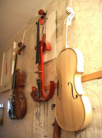 Violine Gradnja